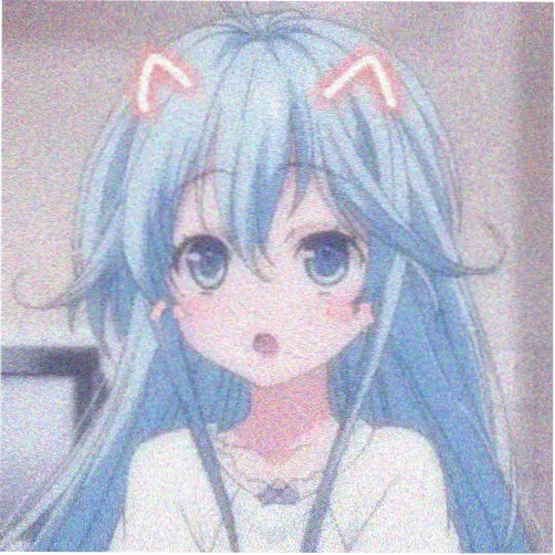 金宝拉 导演